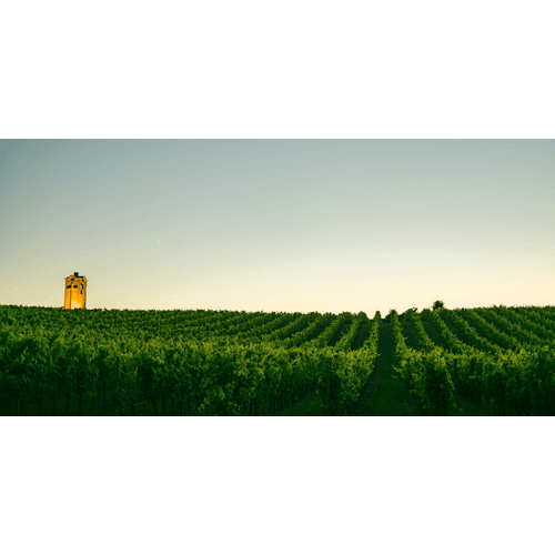 Terra Parna – obrázok 3