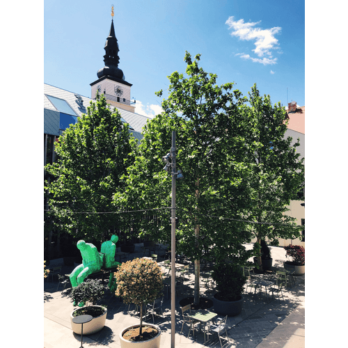 Reštaurácia Akademia – obrázok 7