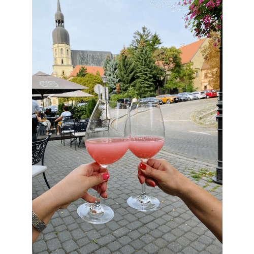 Reštaurácia Forhaus – obrázok 16