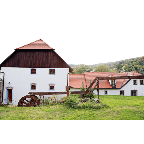 Vína z Mlyna – obrázok 16