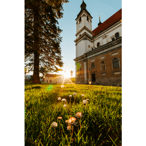 Katedrála sv. Jána Krstiteľa – obrázok 7