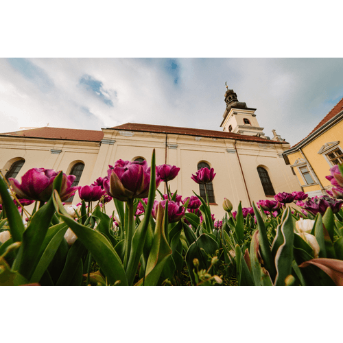 Kostol sv. Jakuba – obrázok 10