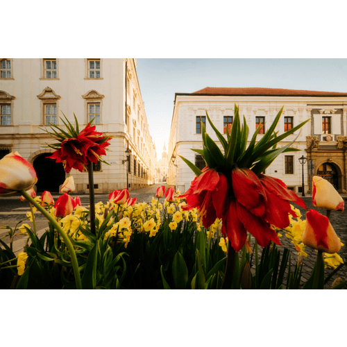 Bazilika sv. Mikuláša – obrázok 5
