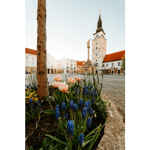 Súsošie Najsvätejšej Trojice – obrázok 7