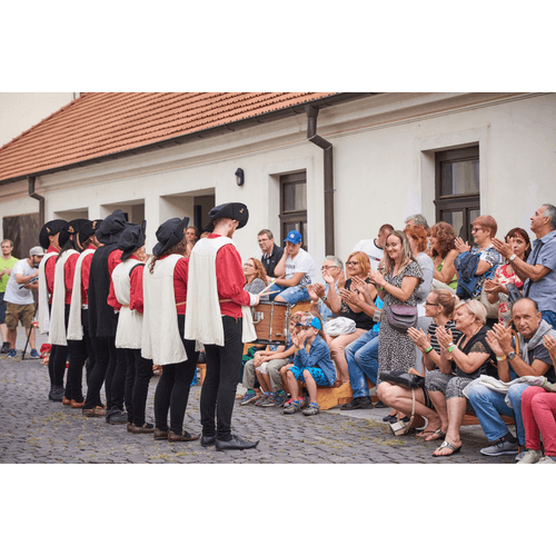 Stredoveká prešovačka – obrázok 29