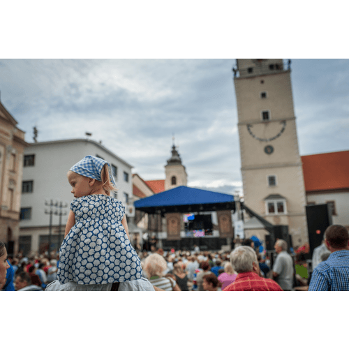 Trnavská brána – obrázok 8