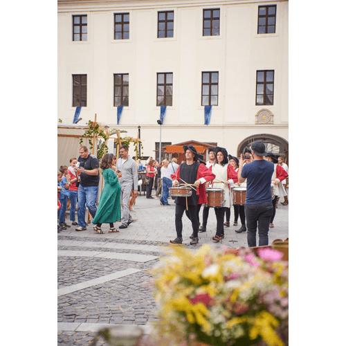 Stredoveká prešovačka – obrázok 26