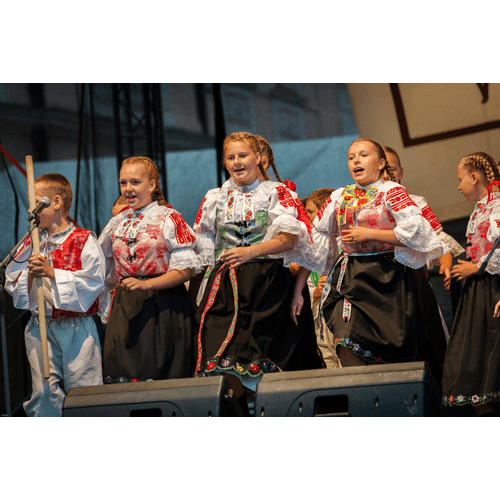 Trnavská brána – obrázok 23