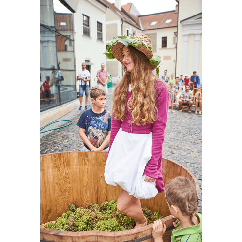 Stredoveká prešovačka – obrázok 21