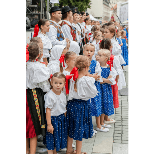 Trnavská brána – obrázok 12
