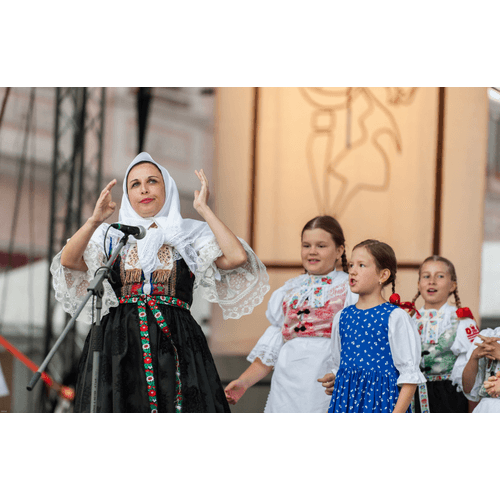 Trnavská brána – obrázok 15