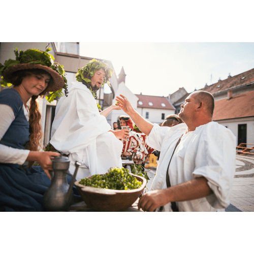 Stredoveká prešovačka – obrázok 37