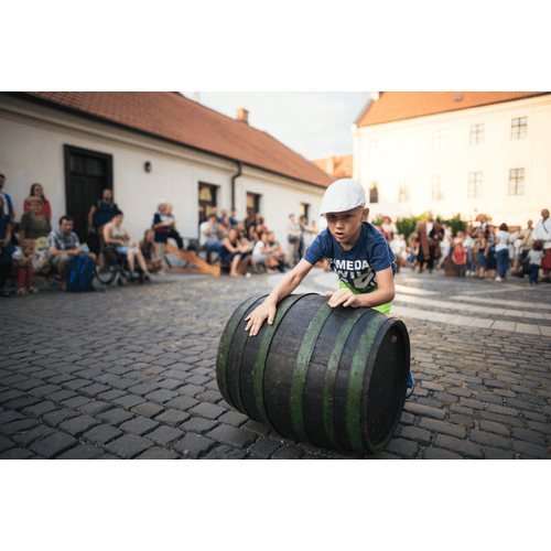 Stredoveká prešovačka – obrázok 11