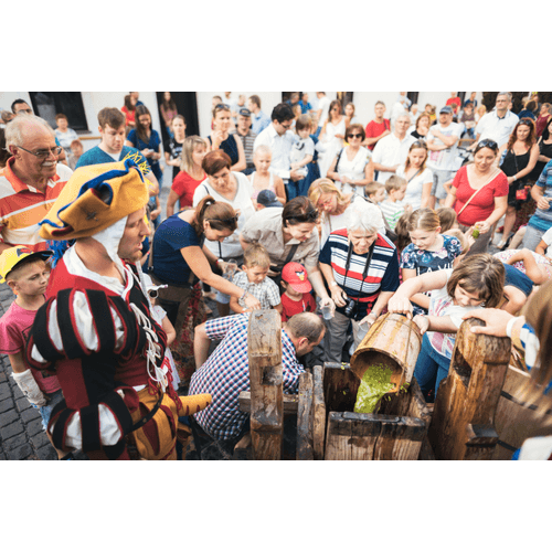 Stredoveká prešovačka – obrázok 13