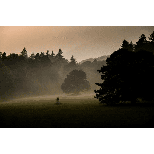 Park pri Smolenickom zámku – obrázok 9