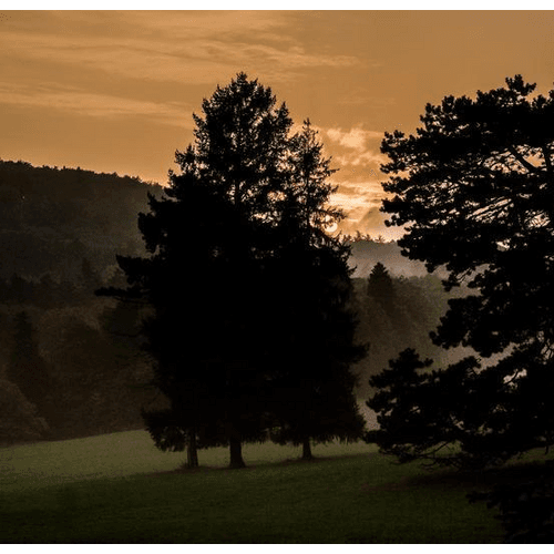 Park pri Smolenickom zámku – obrázok 2