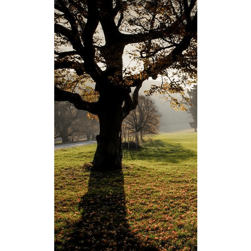 Park pri Smolenickom zámku – obrázok 4