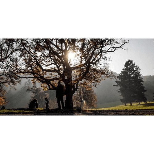 Park pri Smolenickom zámku – obrázok 3