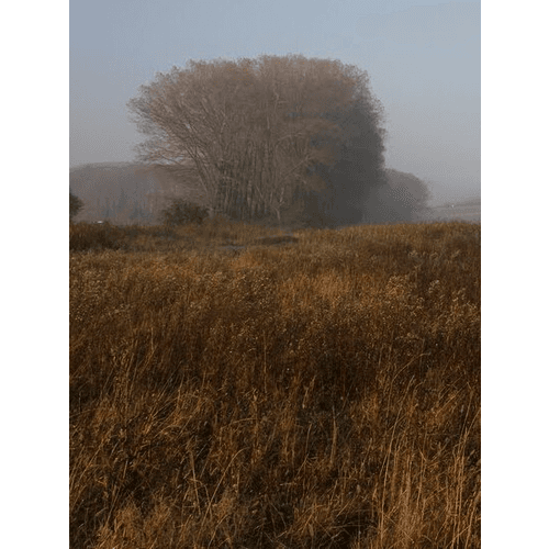 Buková - Zamokrené lúky – obrázok 4