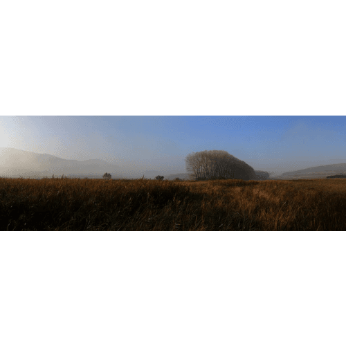 Buková - Zamokrené lúky