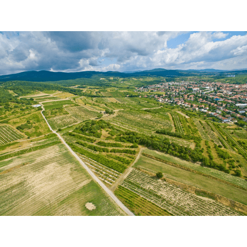 Chránená Krajinná oblasť Malé Karpaty – obrázok 5