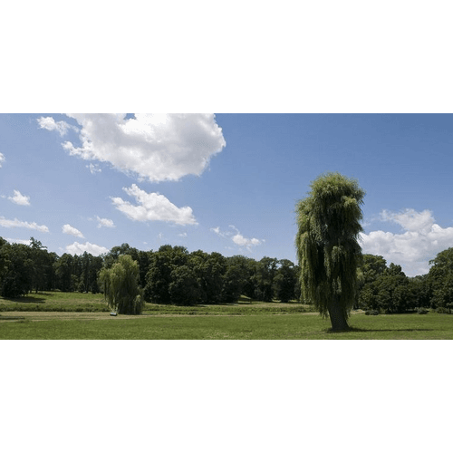 Park pri Kaštieli v Dolnej Krupej – obrázok 3