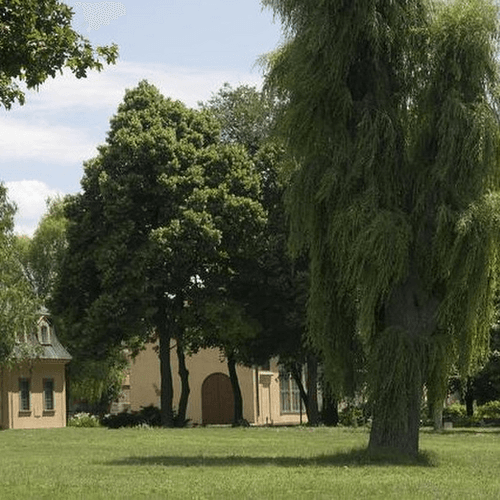 Park pri Kaštieli v Dolnej Krupej – obrázok 2