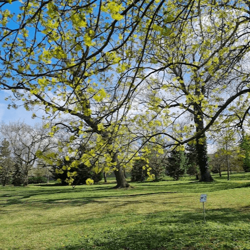 Park pri kaštieli v Jaslovských Bohuniciach – obrázok 2