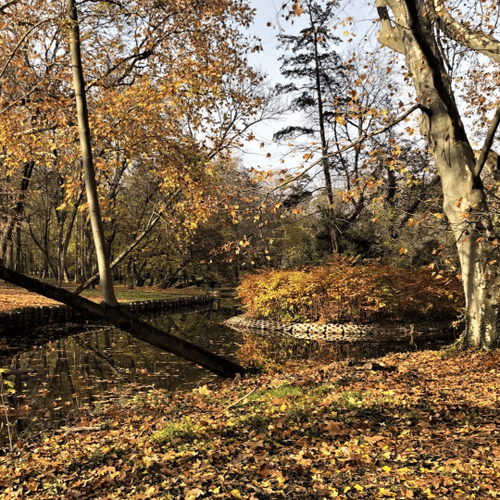Park pri kaštieli Voderady – obrázok 2