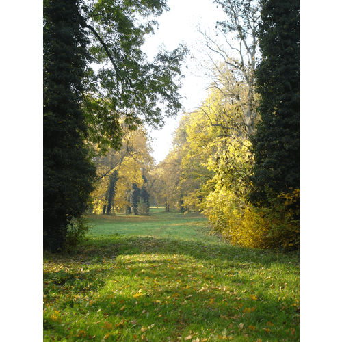 Park pri kaštieli v Dolnej Krupej – obrázok 8