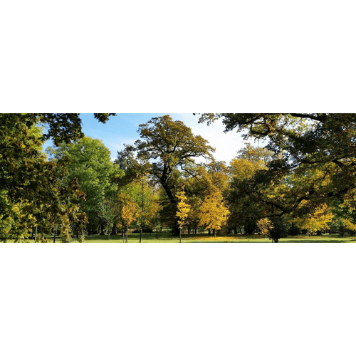 Park pri kaštieli v Jaslovských Bohuniciach
