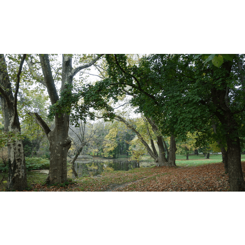 Park pri kaštieli Voderady