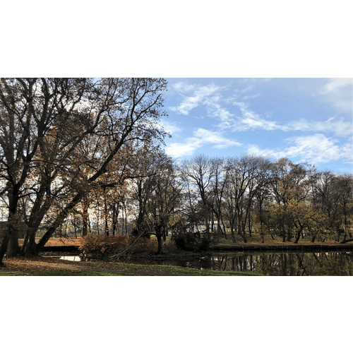 Park pri kaštieli Voderady – obrázok 5