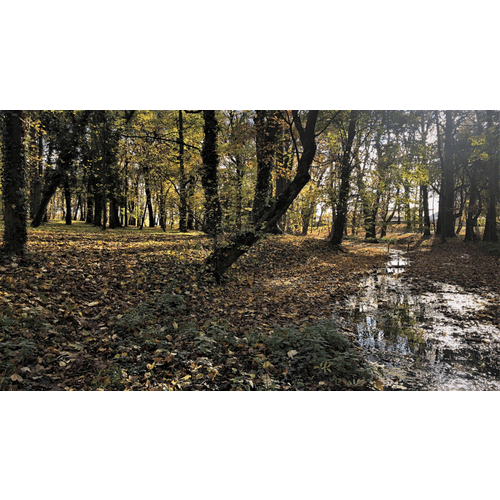 Park pri kaštieli Voderady – obrázok 6