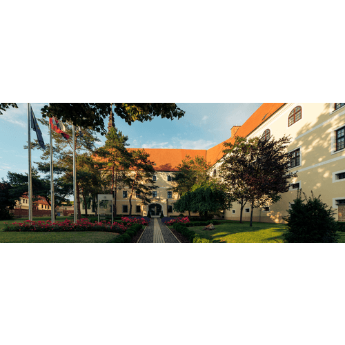 Západoslovenské múzeum