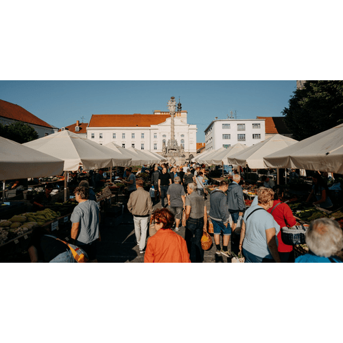 Mestský trh v Trnave