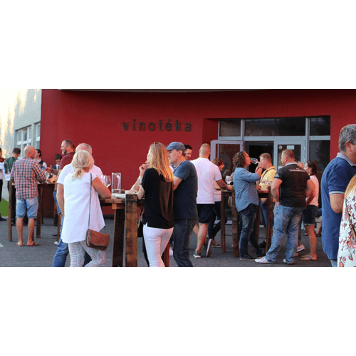 Dňa mladých vín vo vinárstve MRVA & STANKO – obrázok 2