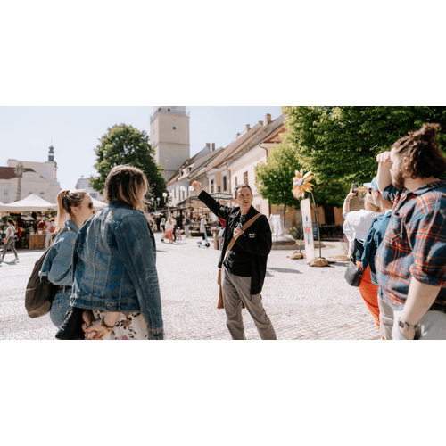 Prehliadka Trnavy / stála ponuka prehliadok
