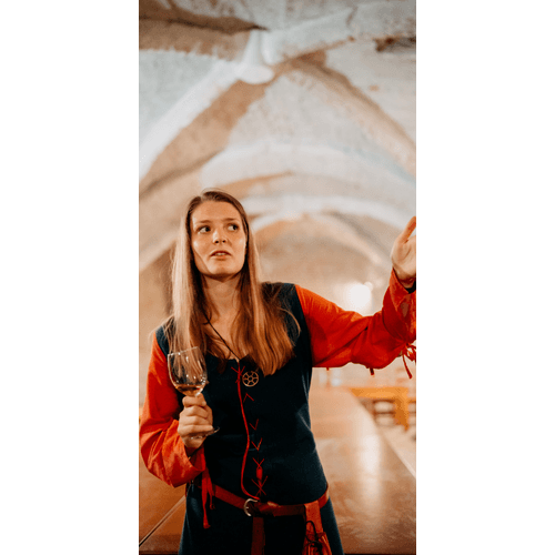 Prehliadka Trnavy s ochutnávkou vína / stála ponuka prehliadok – obrázok 4