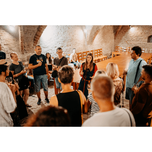 Prehliadka Trnavy s ochutnávkou vína / stála ponuka prehliadok – obrázok 5