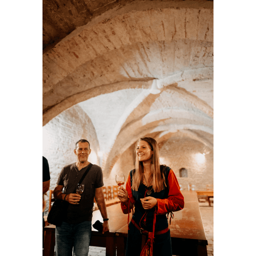 Prehliadka Trnavy s ochutnávkou vína / stála ponuka prehliadok – obrázok 6
