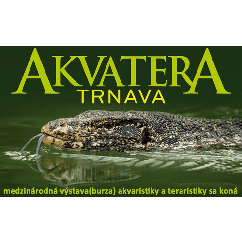 Akvatera Trnava – obrázok 3