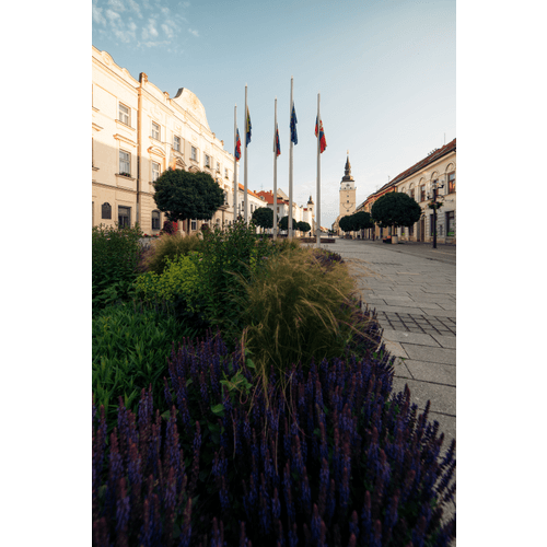 Mestská veža – obrázok 8