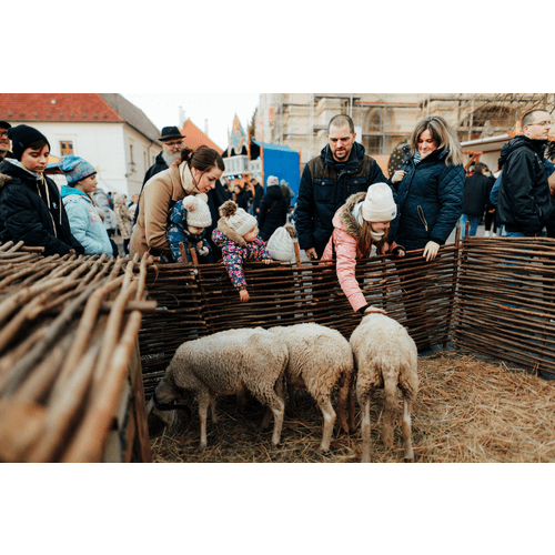 Stredoveké adventné trhy v Trnave – obrázok 6
