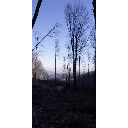 Čierna skala – obrázok 4